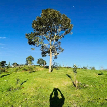 ĐẦU TƯ KHU NGHỈ DƯỠNG - CỔNG TRỜI TOP VIEW (SKY GATE)